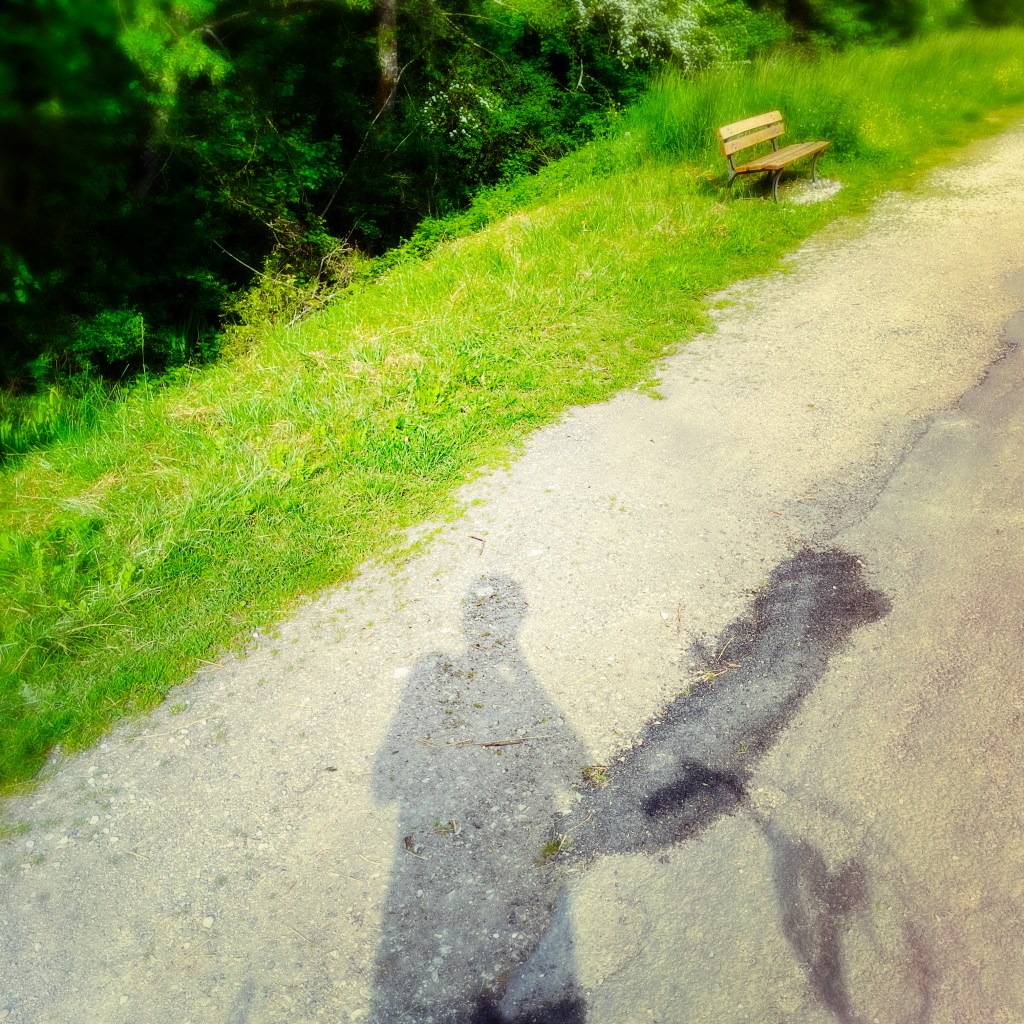 Route entre le château de Saint Rémy et le Canal de Bourgogne