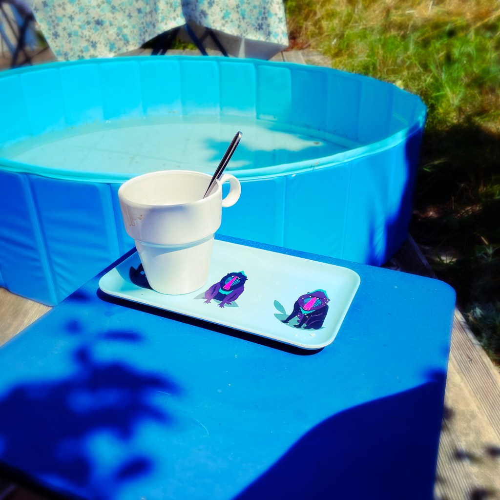 Tasse de café & piscine sur une terrasse — aout 2023 — Bourgogne — Ph © Clémence Zagorski — Bilan du mois d'aout