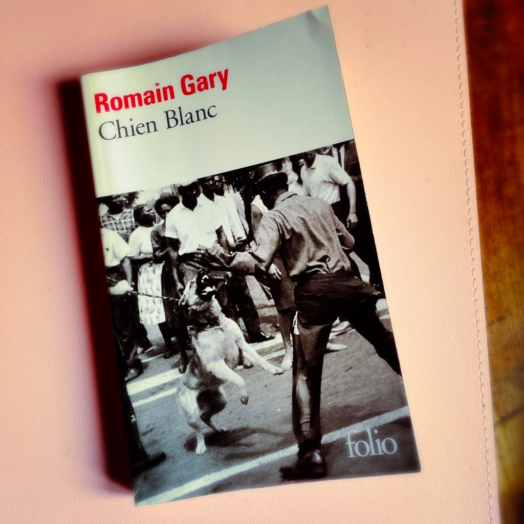 Couverture de Chien Blanc par Romain Gary, éditions Gallimard — la photo montre un chien policier attaquant un noir dont il a déchiré le pantalon — d'autres noirs assistent à la scène, impuissants. — Bilan Aout