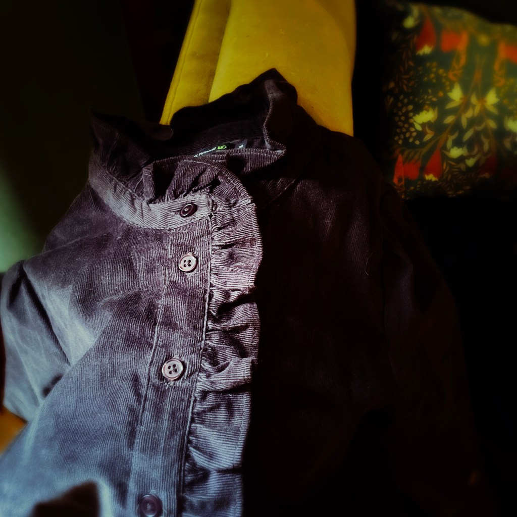 Robe en velours gris Monoprix - bilan octobre