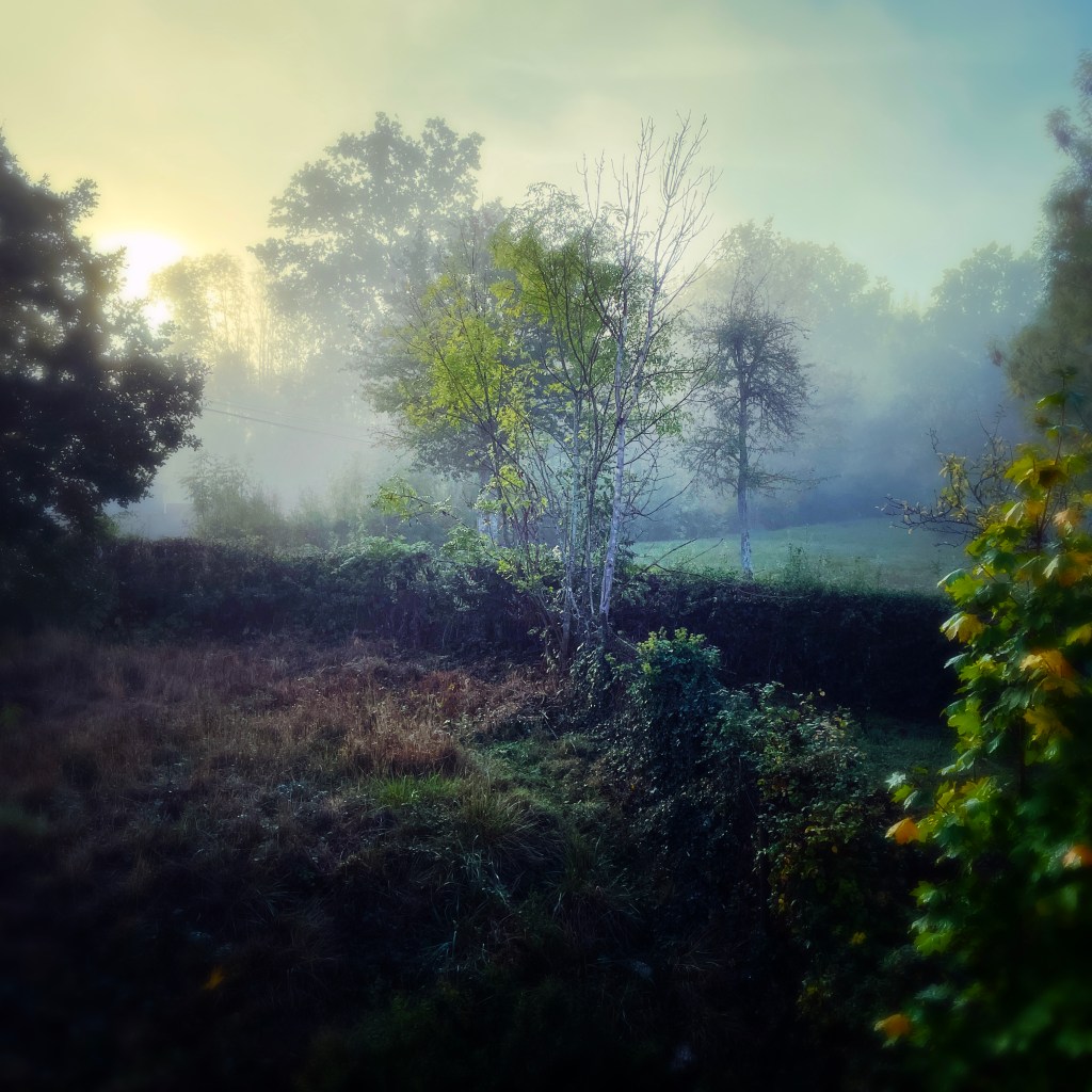 Automne en Bourgogne — Ph © Clémence Zagorski
