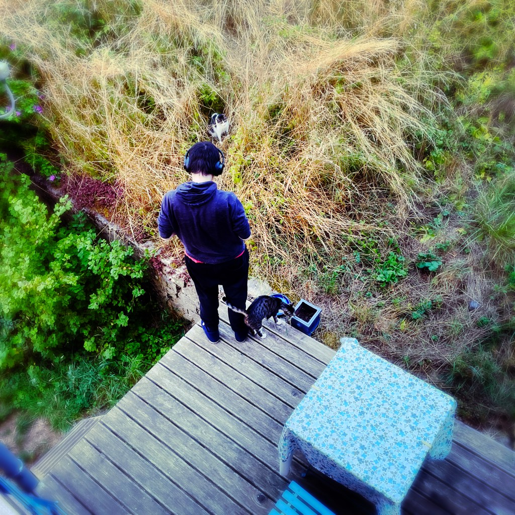 Fils, chats, jardin & terrasse — Bourgogne, Juillet 2023 — ph © Clémence Zagorski