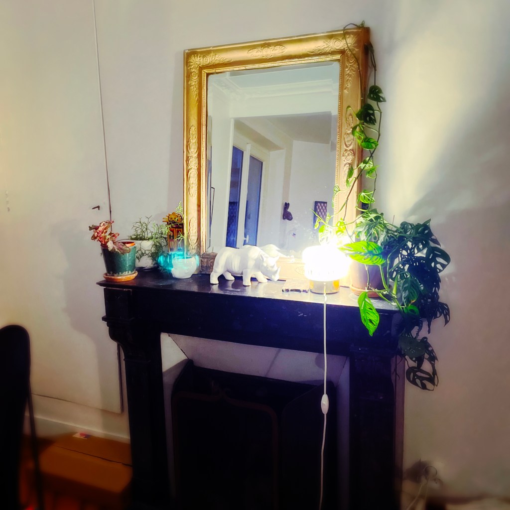 Appartement de Laure & Florent qui m'ont si gentiment hébergé tous les vendredi soir durant mes 7 mois de travail à l'Adagp. Bilan Novembre