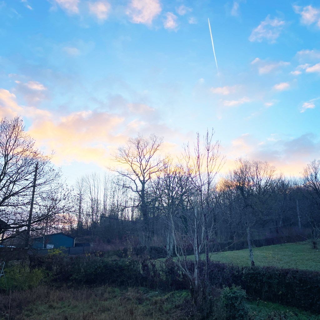 Rare image d'une journée ensoleillée au cours d'un mois qui fut très pluvieux — Bourgogne, décembre 2023 — Ph © Clémence Zagorski